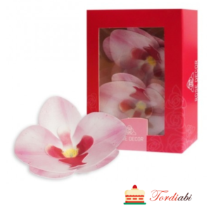 Tordiabi vavlidekoor roosad orhideed