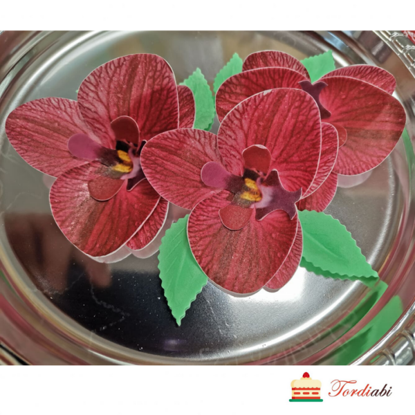 Tordiabi 3 punast vahvlist orhideed lehtedega