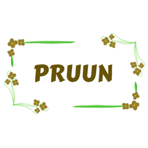 Pruun