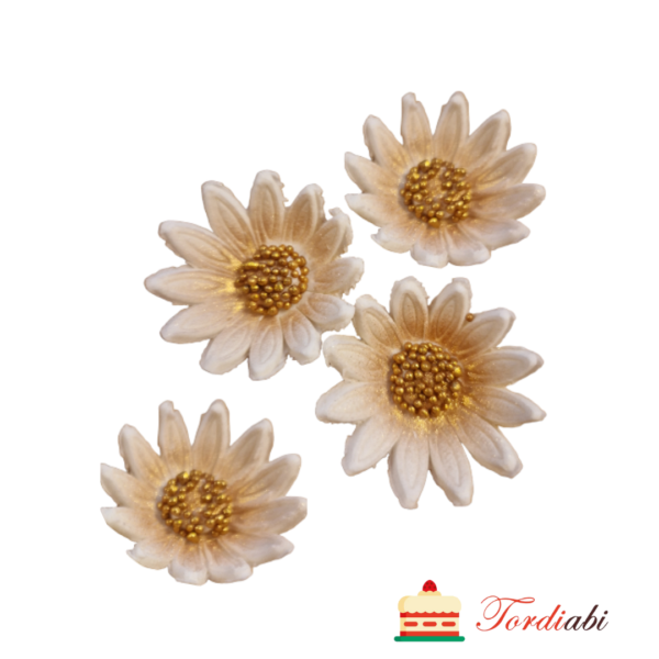 Tordiabi valged lilled kuldse südamikuga