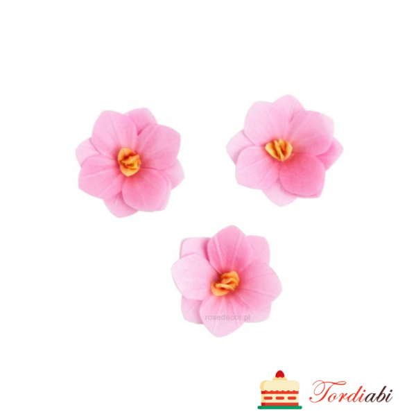 Tordiabi roosad hortensiad