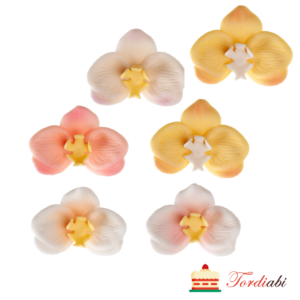 Tordiabi suhkrudekoor orhideed 6 tk