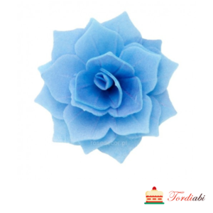Tordiabi vavlidekoor sinine rosalia