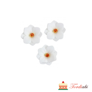 Tordiabi vahvlidekoorid valged hortensiad