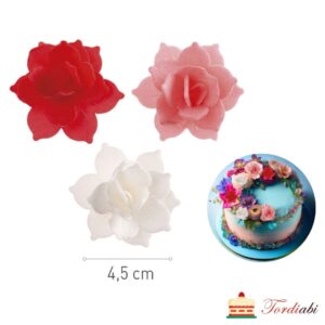 Tordiabi roosad punased valged lilleõied