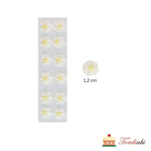 Tordiabi pisikesed valged lilleõied kollase südamikuga 12 tk