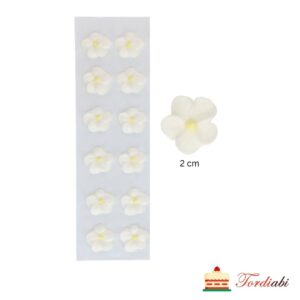 Tordiabi valged lilleõied kollase südamikuga 2 cm