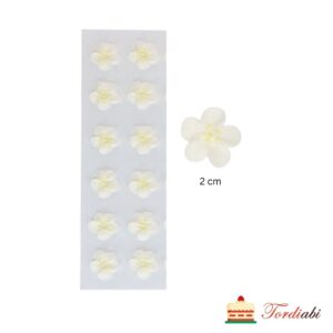 Tordiabi valged lilleõied kollastest pärlitest südamikuga 12 tk